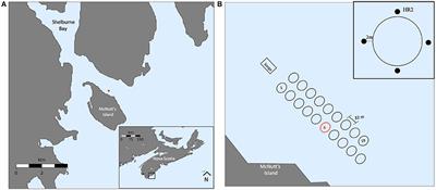 Determining the Effects of Environmental Events on Cultured Atlantic Salmon Behaviour Using 3-Dimensional Acoustic Telemetry